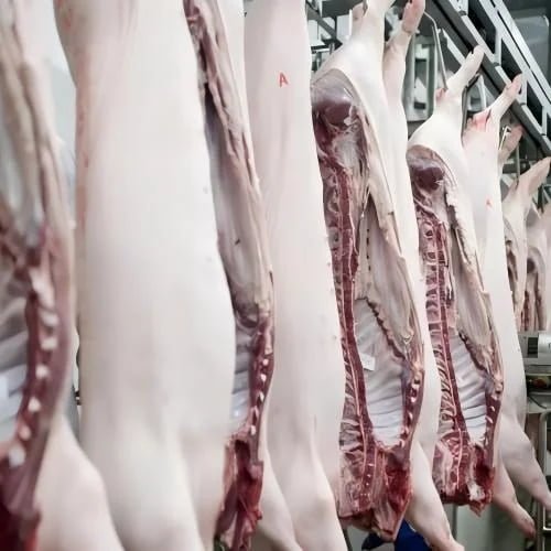 Livestock Farming & Slaughterhouse Wastewater Treatment